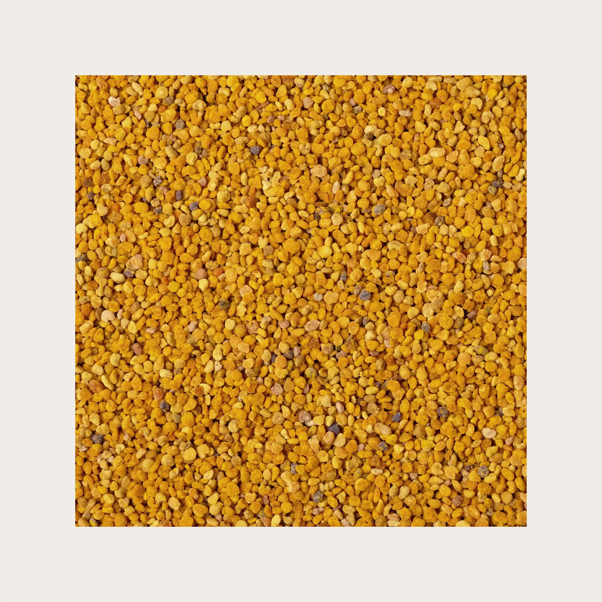 Polline superalimento naturale in grani