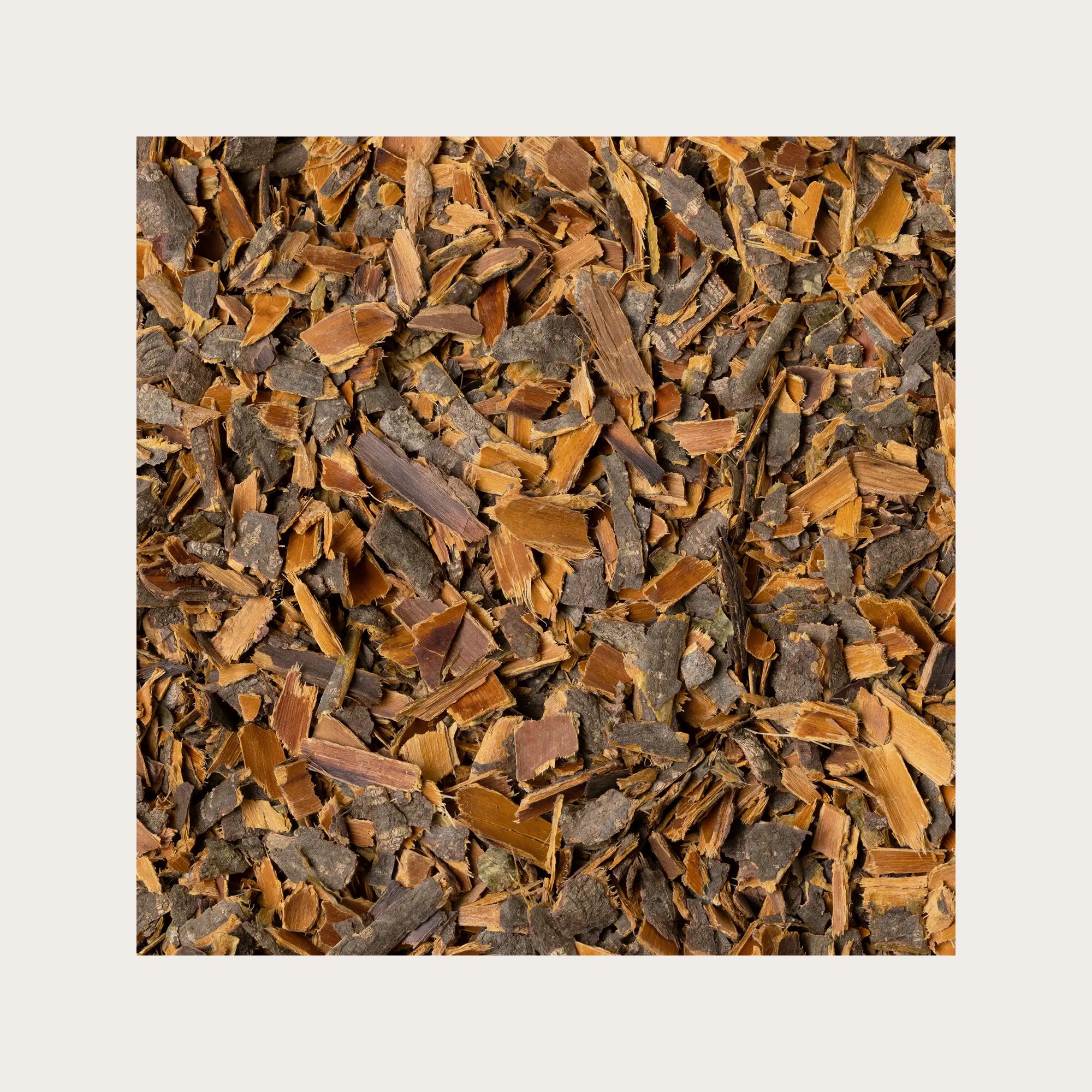 Rhamnus frangula corteccia sfusa per tisana