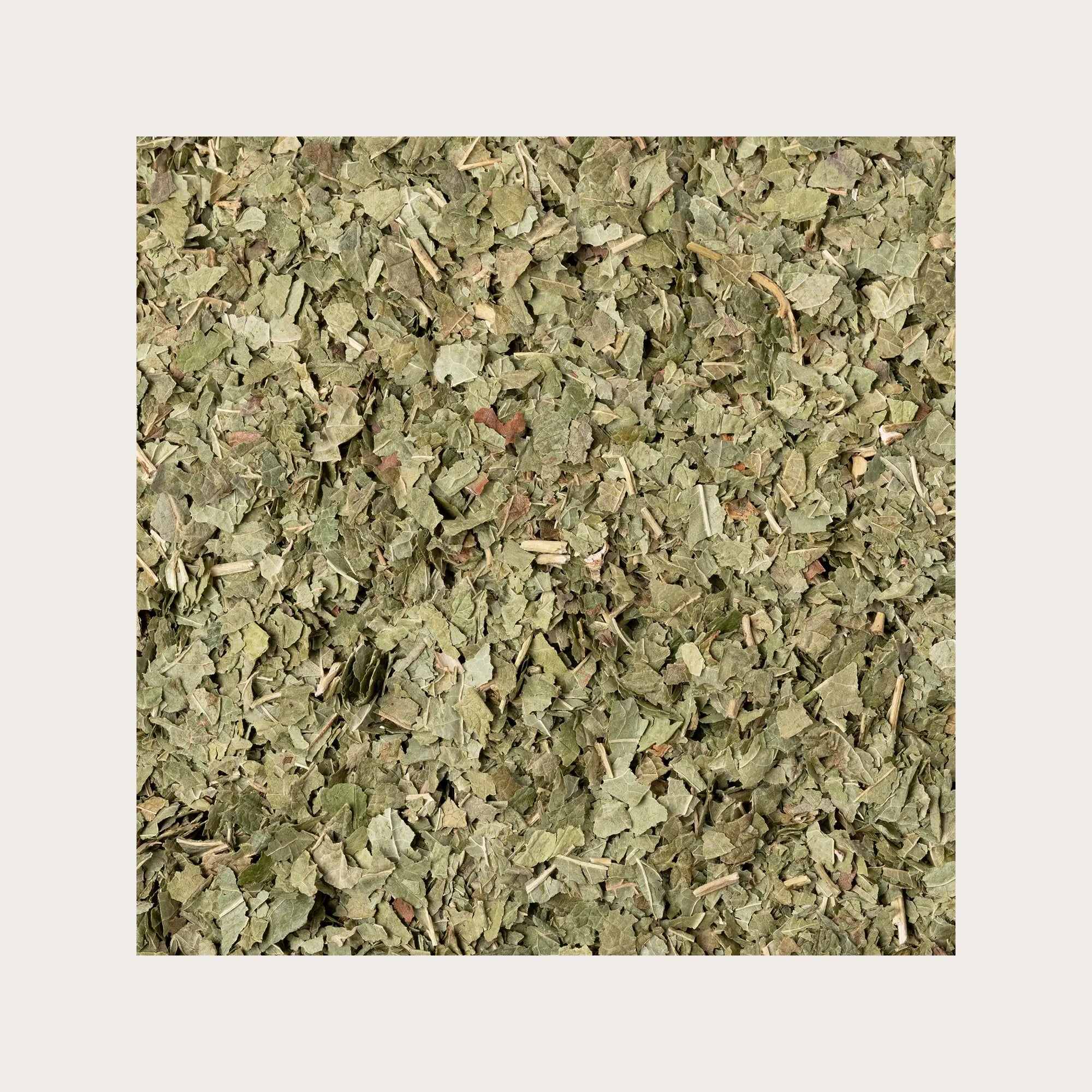 Ribes nero foglie sfuse per tisana