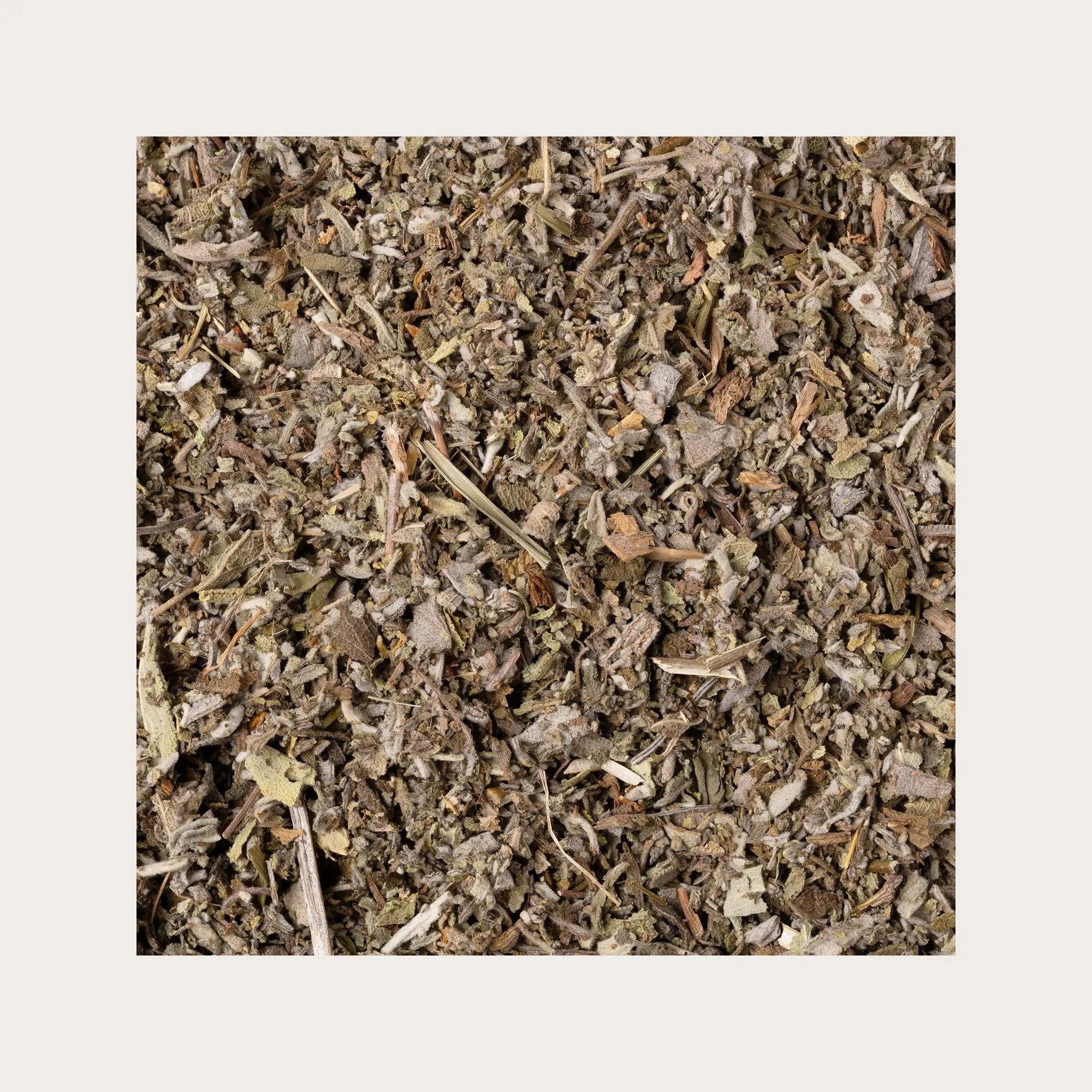 Salvia foglie sfuse per tisana