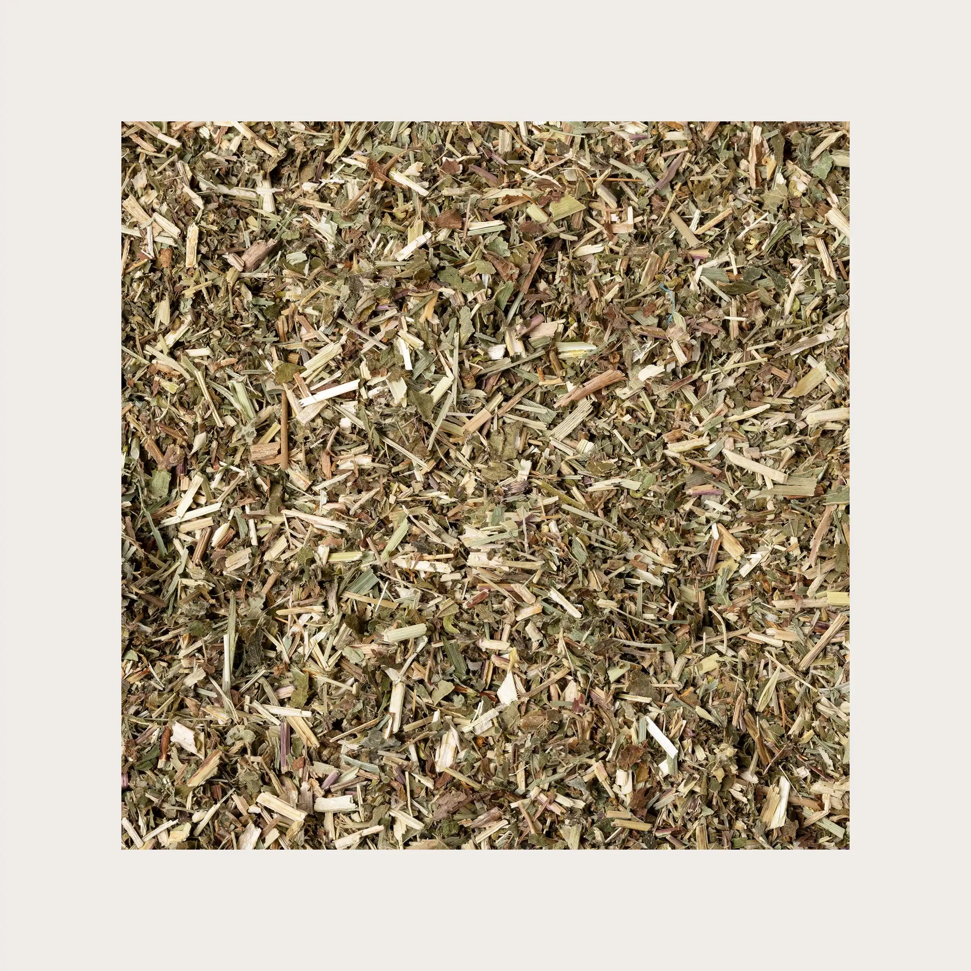Spirea ulmaria sfusa per tisana