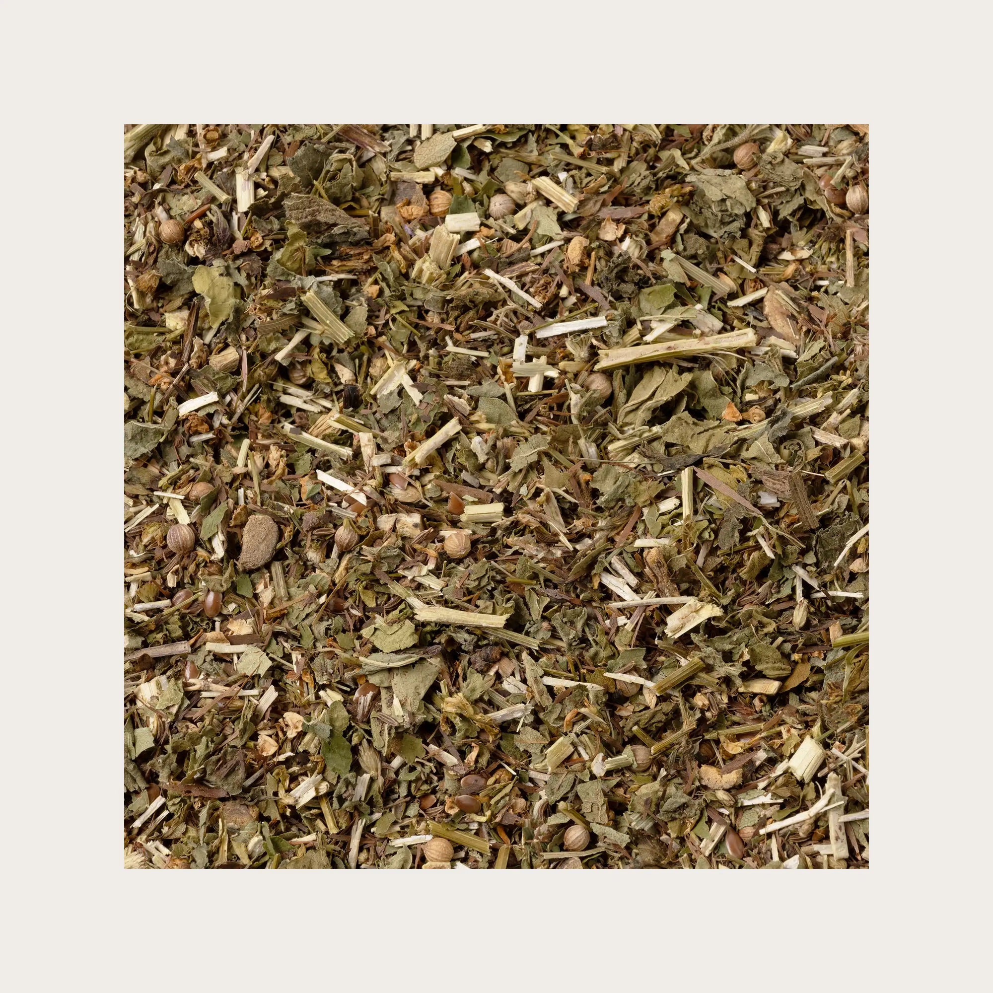 Tisana Colon con Achillea