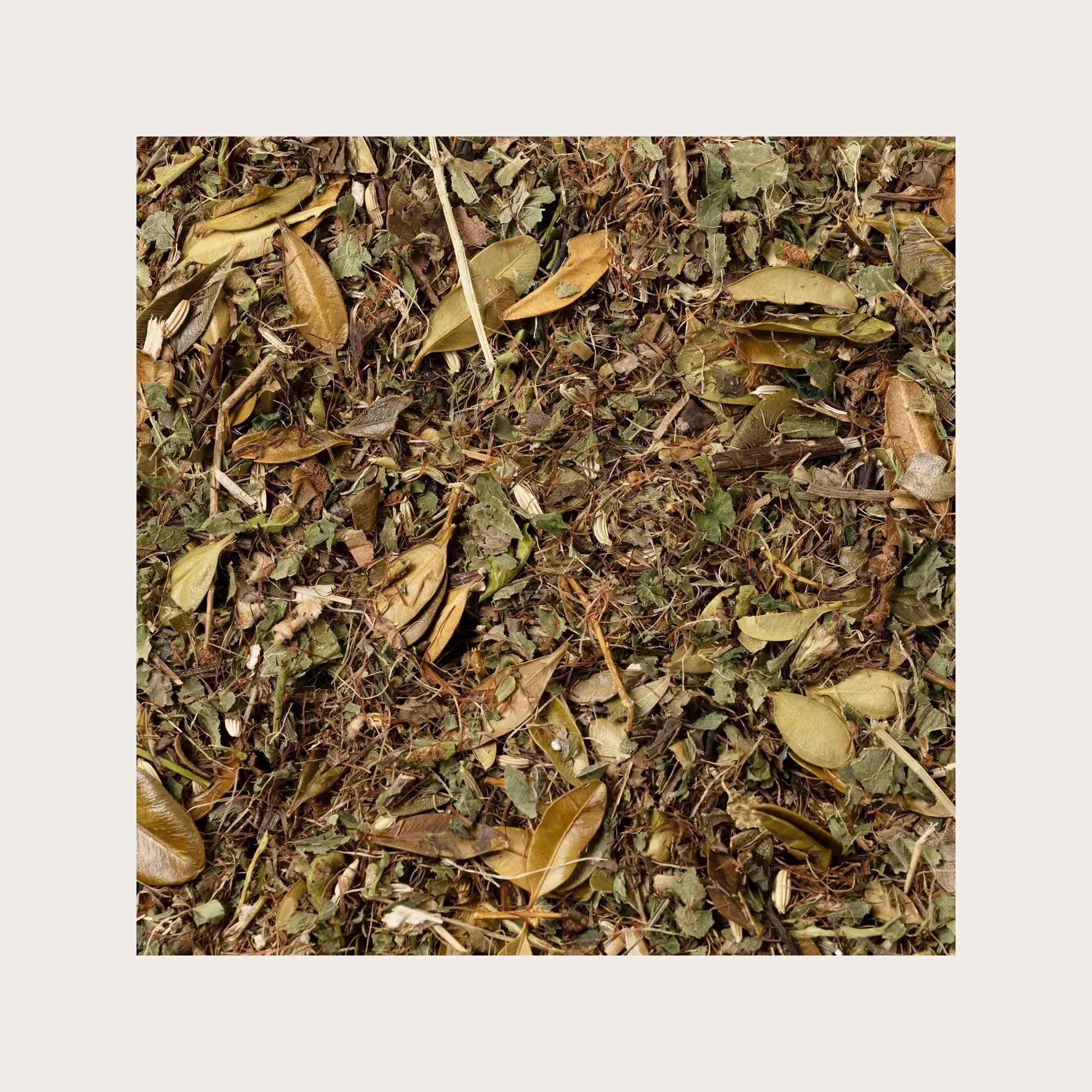 Tisana Cyst con Uva ursina e Mais