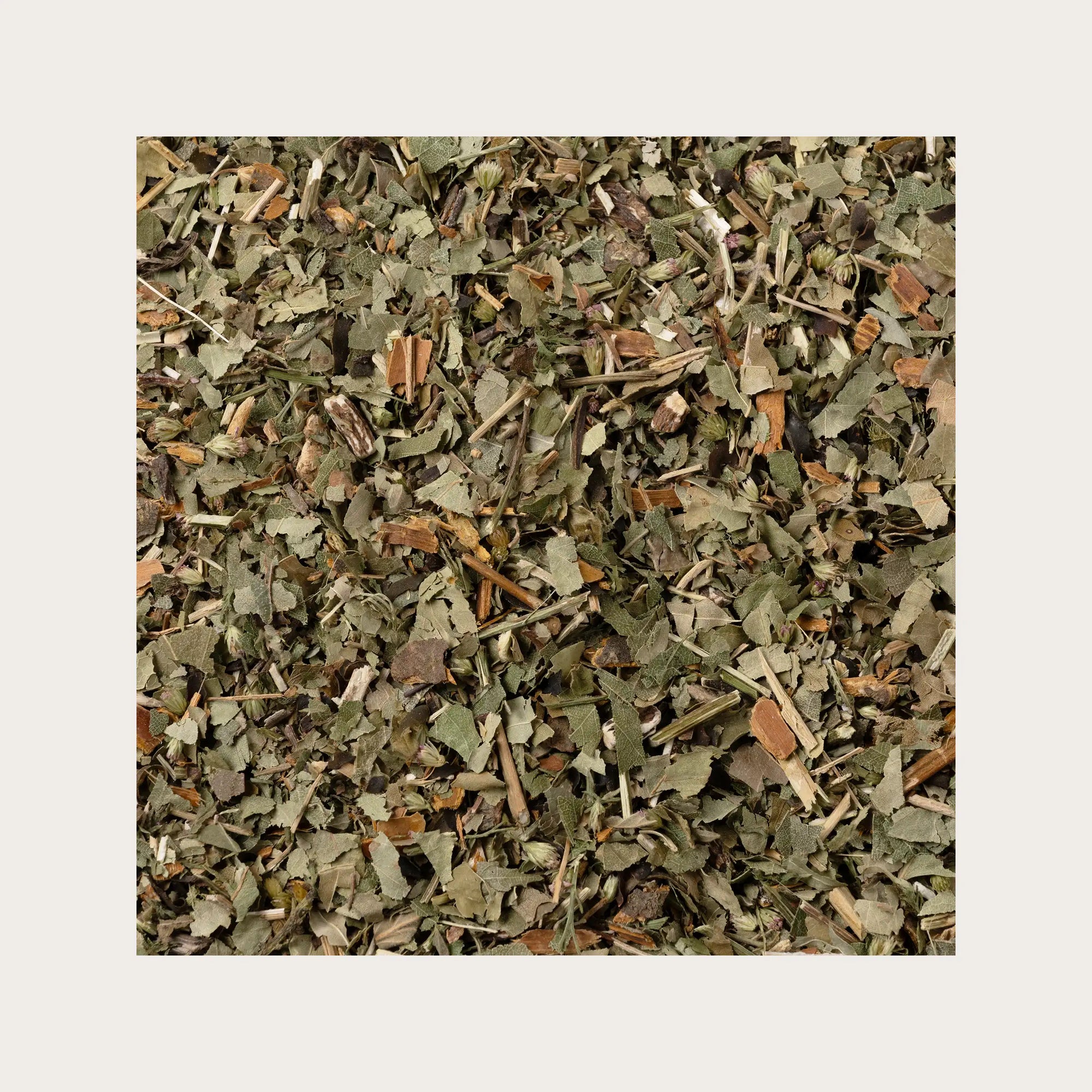 Tisana Drena con Betulla