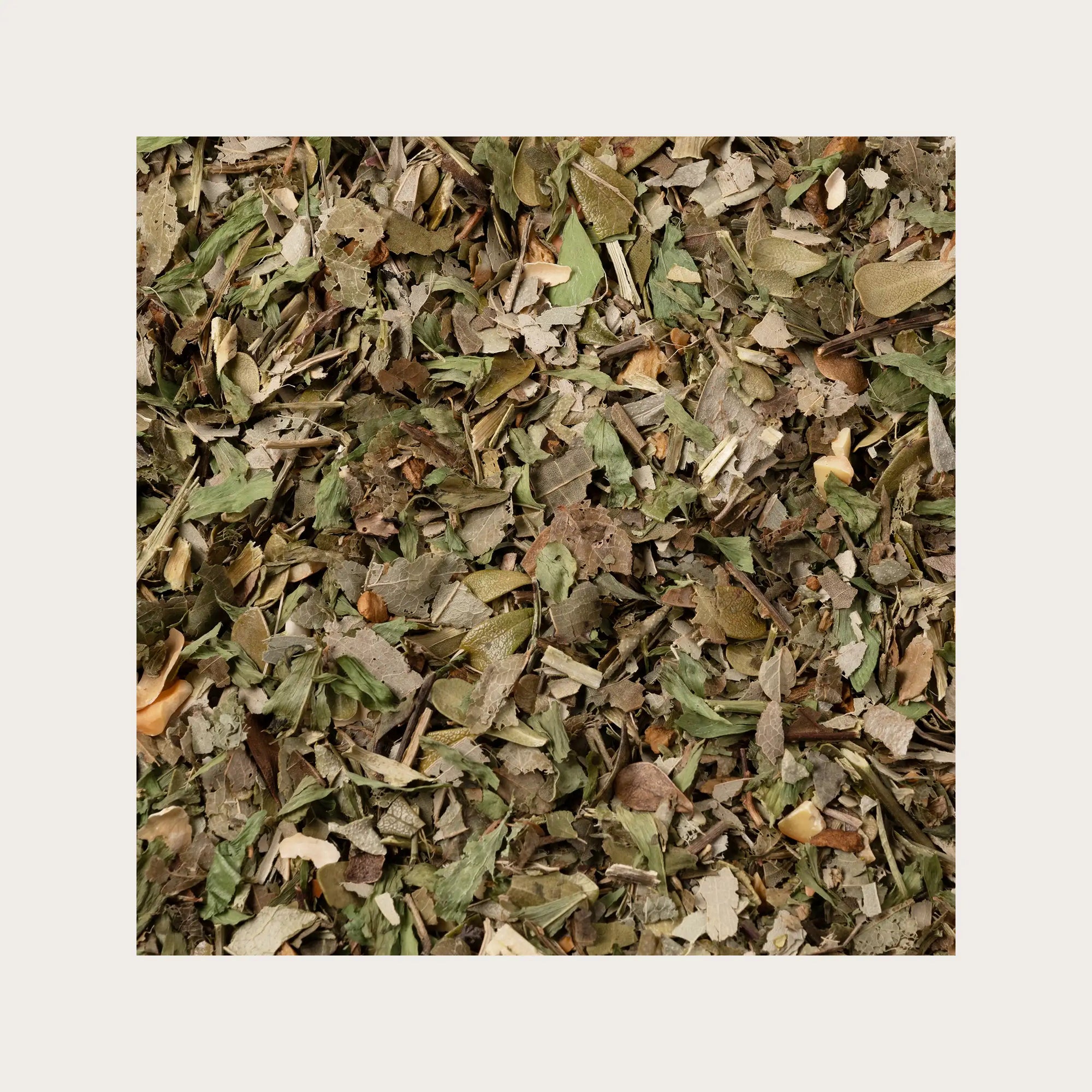 Tisana Glicemic con Galega